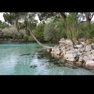 18 wheeler posh store is tricky